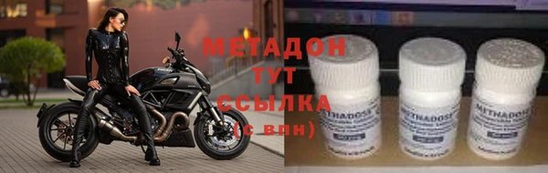 прущие грибы Арсеньев