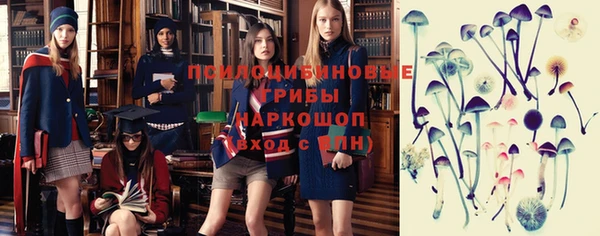 прущие грибы Арсеньев
