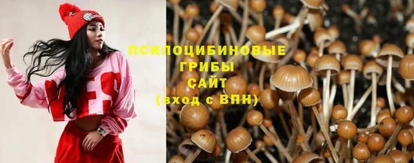 ГАЛЛЮЦИНОГЕННЫЕ ГРИБЫ Алзамай