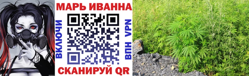 наркошоп  Фрязино  Каннабис ГИДРОПОН 